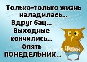 a94629488c1a7e52cb.webp