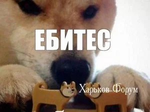 a94a70c2215b2b1fd6b9bdc9.webp