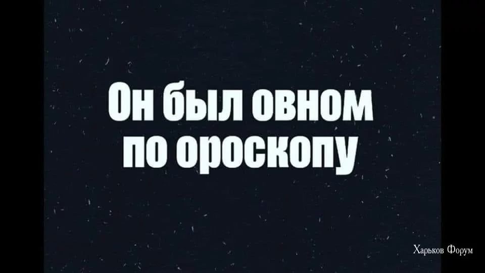 a94b5242fc987cd8f.webp