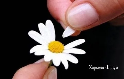 a9740f6786bcc011cf43.webp