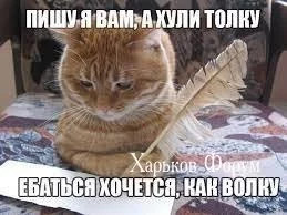 a97d682ff3838eaaca85b.webp