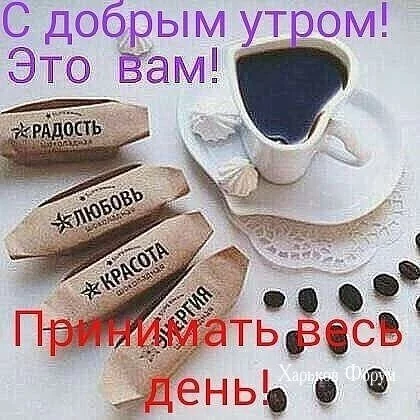 a982293a040f1755be975.webp