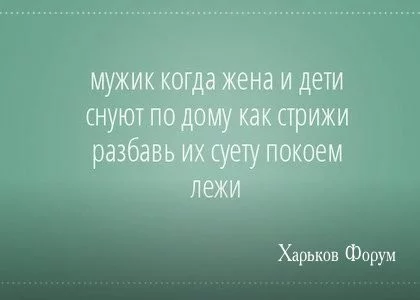 a98cb036cb46eb154c4.webp