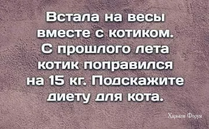 a993eeba409b406e32.webp
