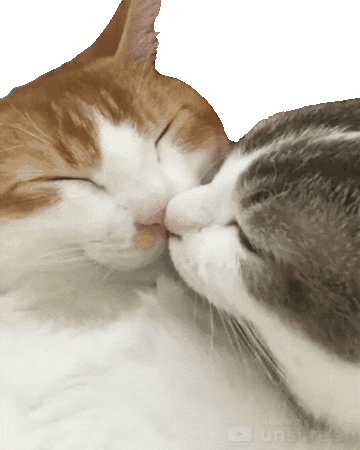 a998ead826220971f737da27.gif