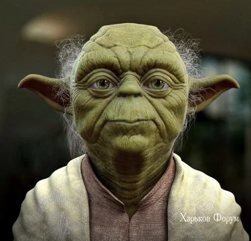a99d2c4574f3a3efe27.webp
