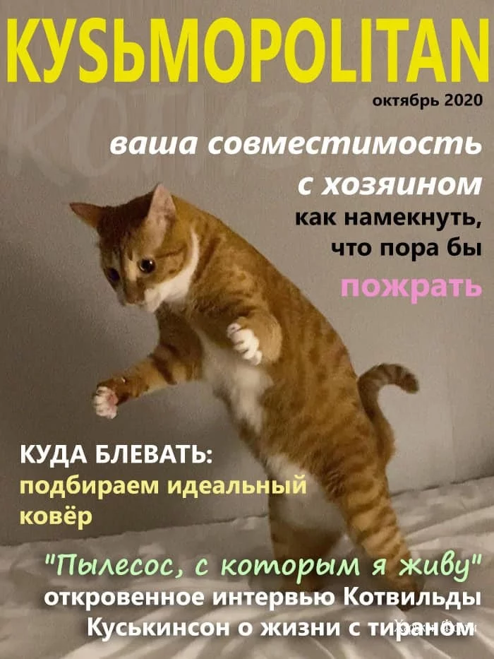 a9bc1e1022afe73fd.webp
