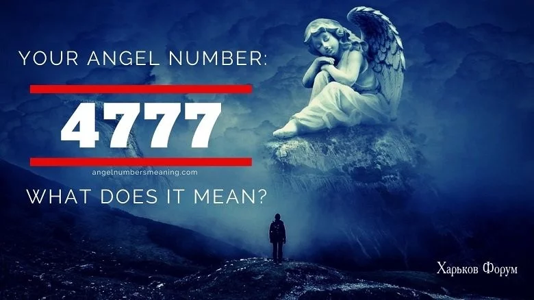 a9bc323a1d4d2211690a.webp