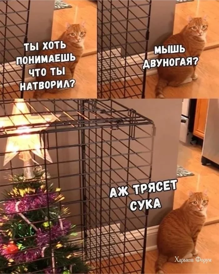 a9d681589d8c1b76bfd6cbe.webp