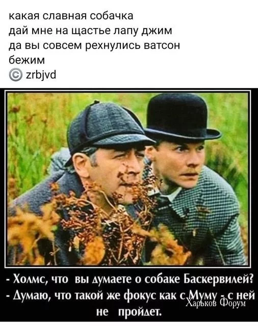 a9da8064fa3a4e1c261f0b6d.webp