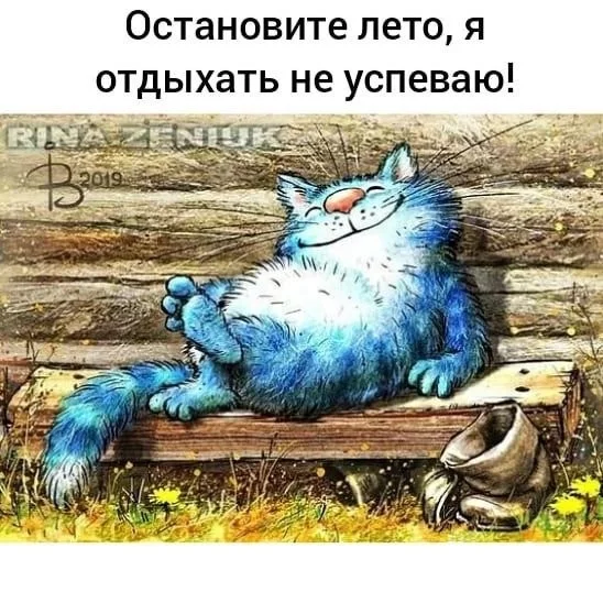 a9dbdd6014eeca58ee3.webp