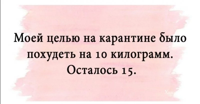 a9e956babfd7417a8e16d6.webp
