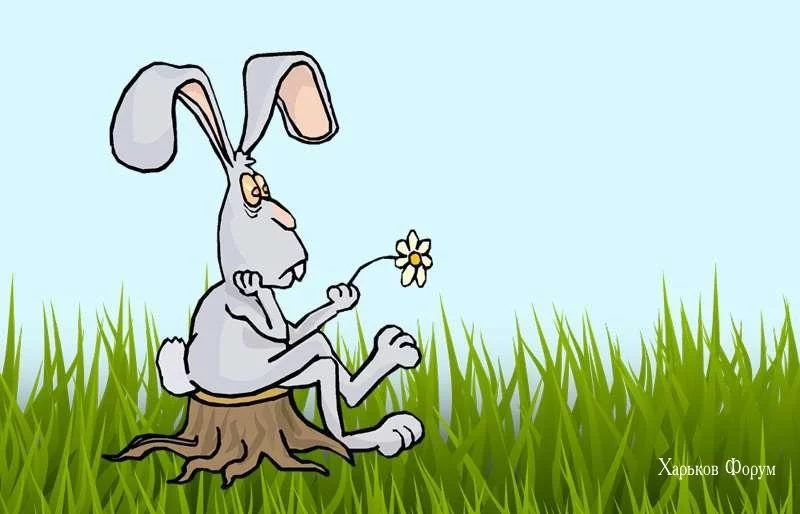 a9ff605f2344dbb12.webp