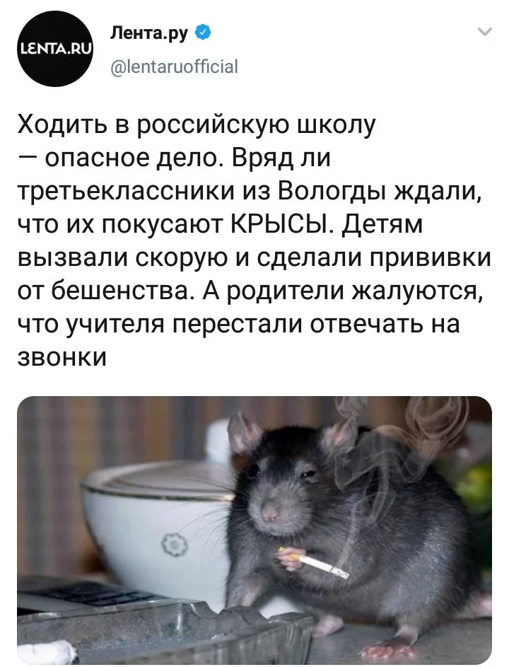 a9hdbb.webp