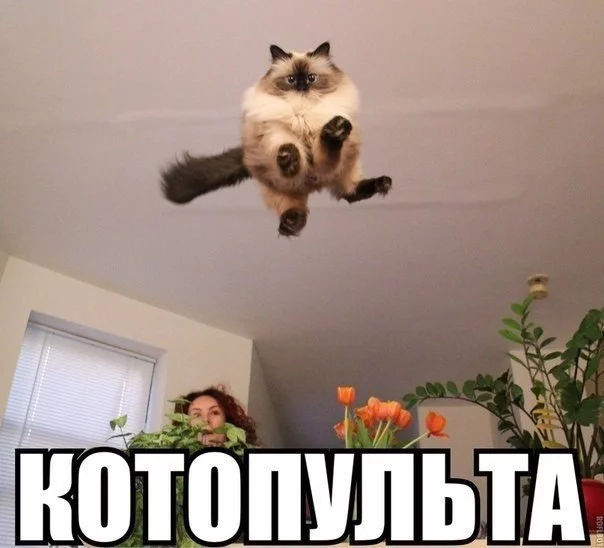 A_sAI2rQeYA.webp