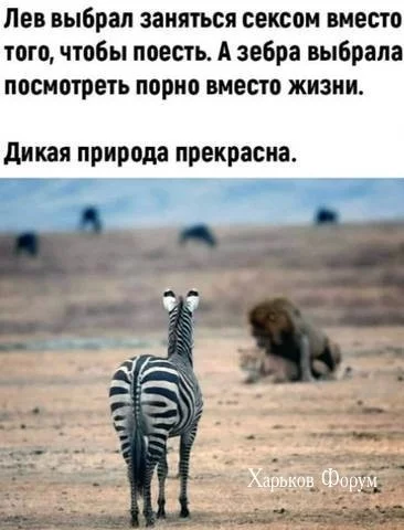 aa28143d47f652fa7ab005.webp