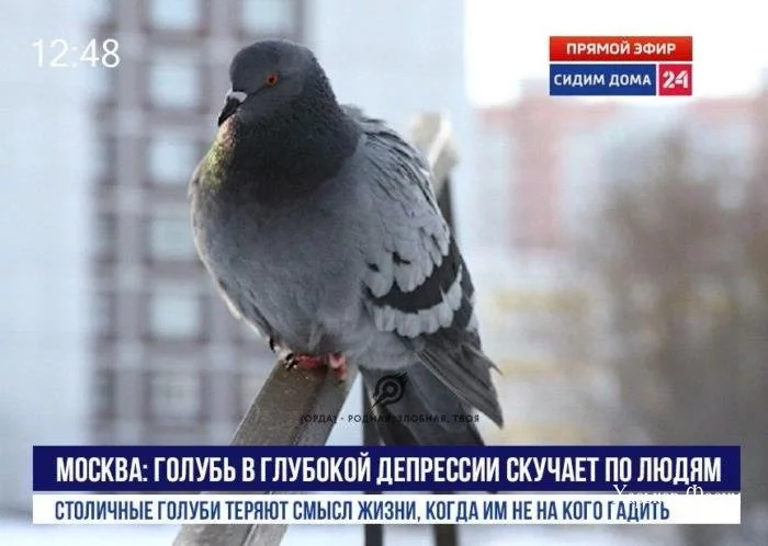 aa314c22185be291f.webp