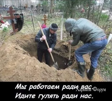 aa404ba9d52f870c57461c9d.webp