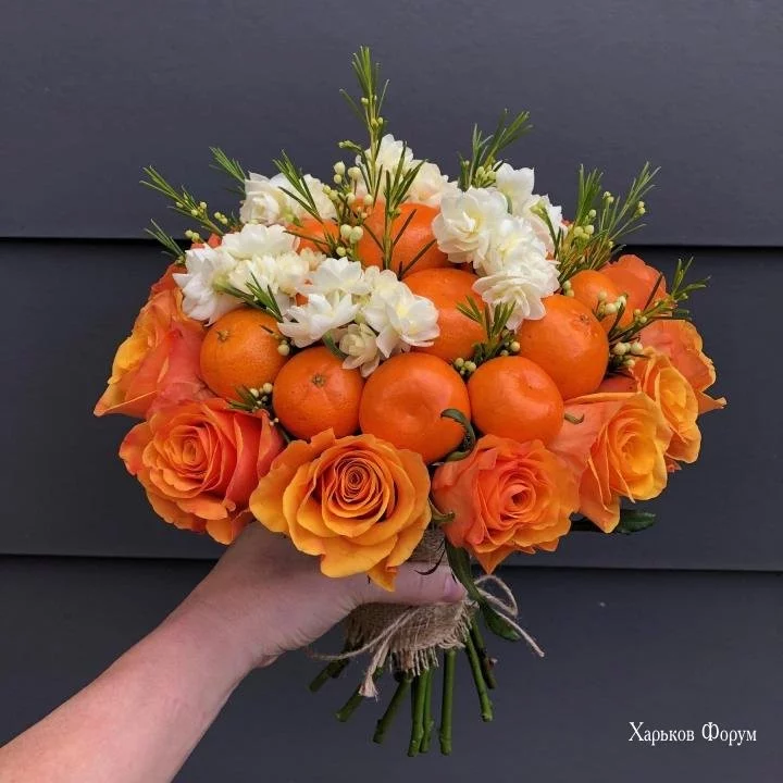 aa4aee1275d4fd3f68.webp
