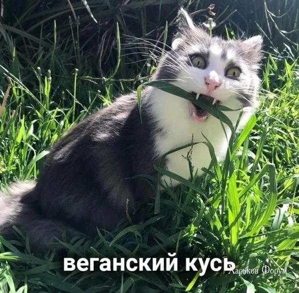 aa54a3156ad9ac10d123.webp