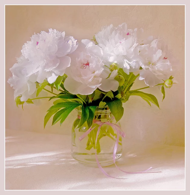 aa62997602b597e3d38fae551fbfd954.webp