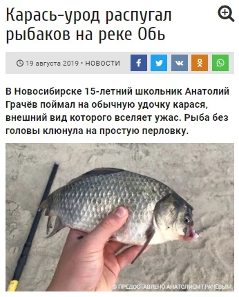 aa6hcj.webp