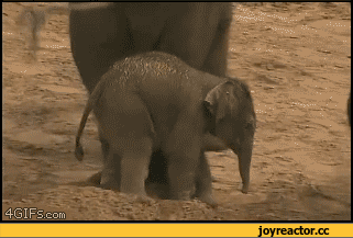 aa761c7202a292594508.gif