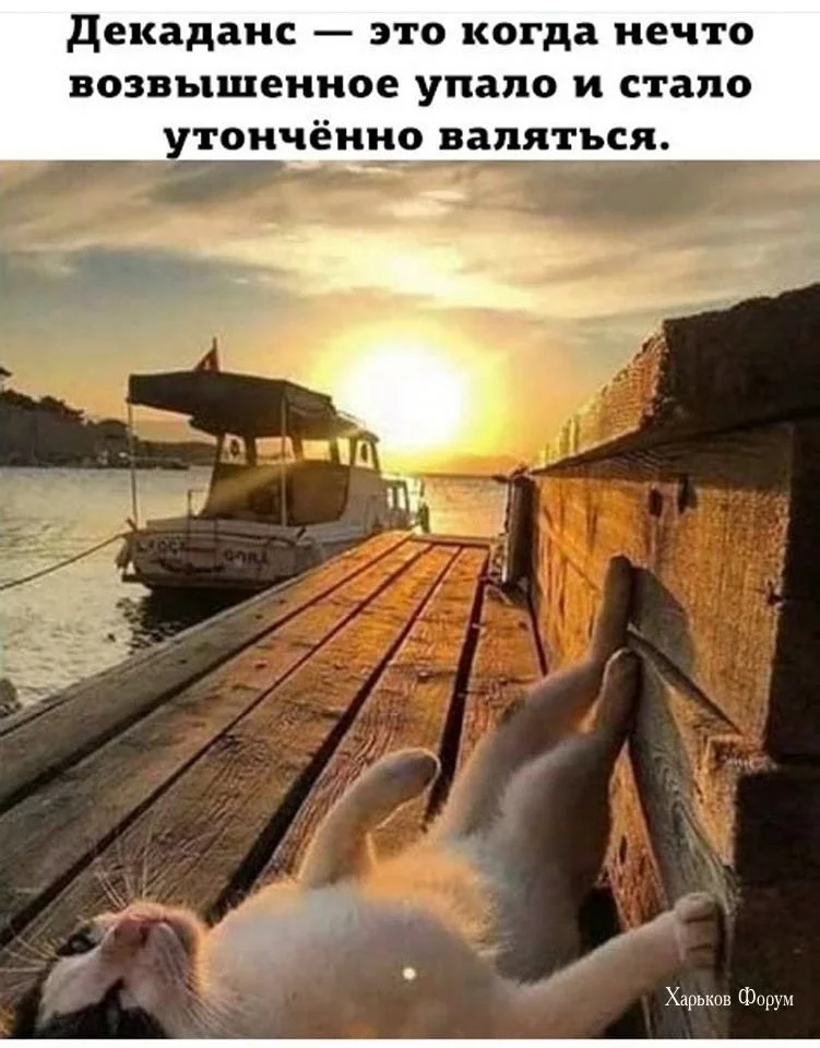 aa7917e86a76192f6465.webp