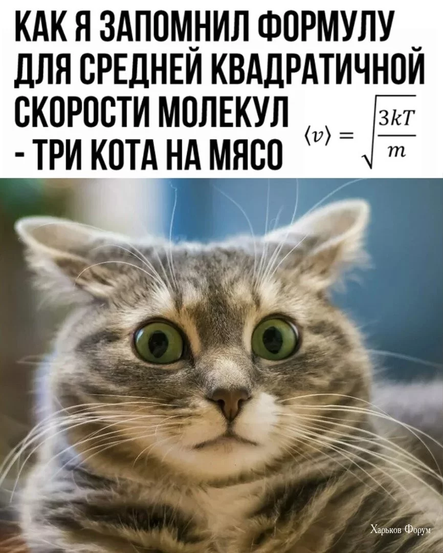 aa8096eebb2d44862b5fae.webp