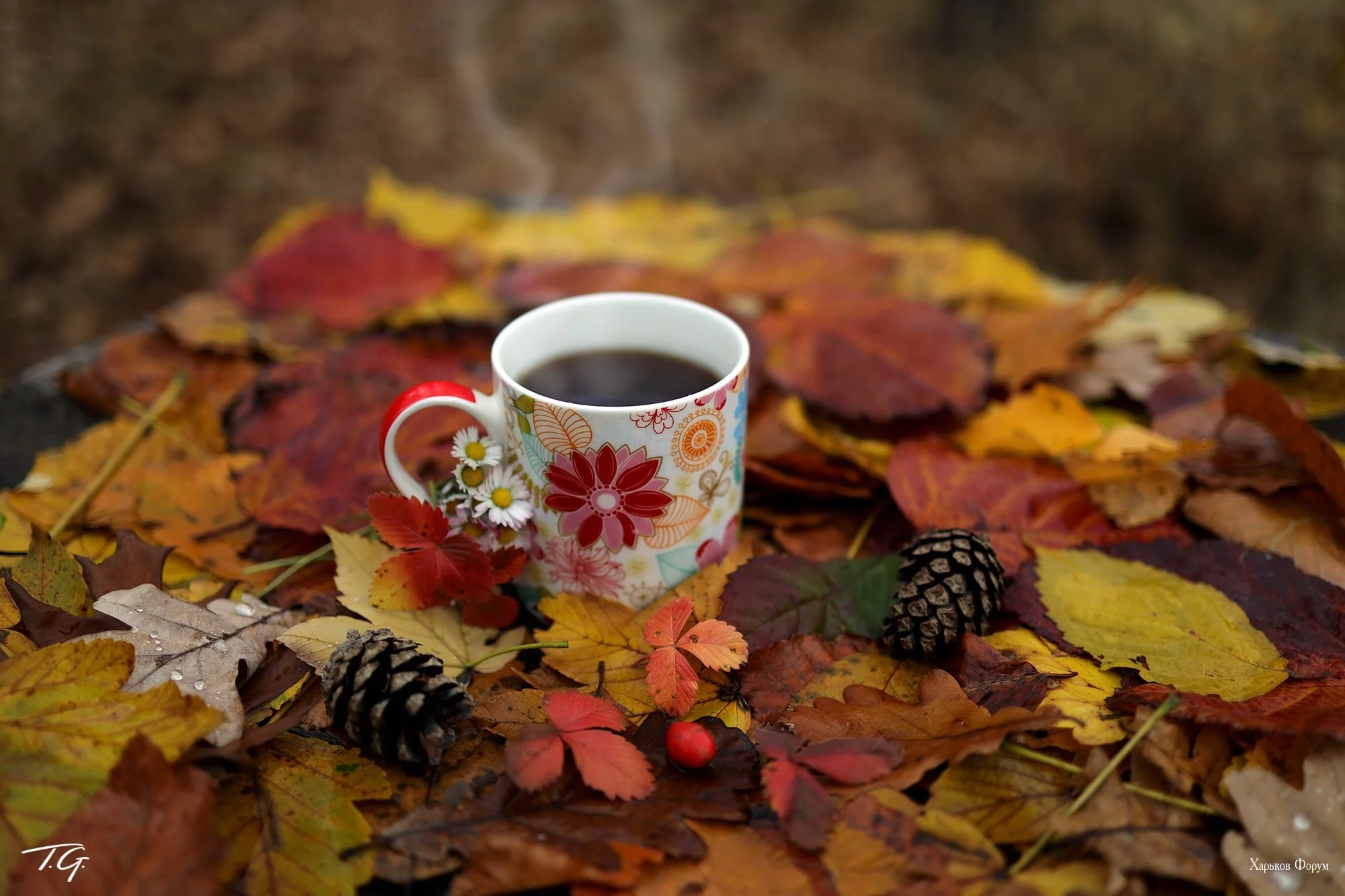 aa88fb4eaae53315fe4.webp