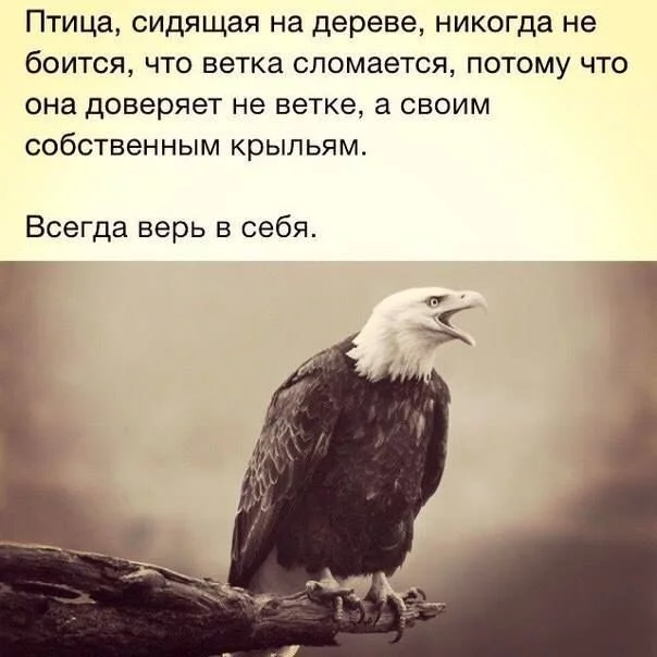aaaae2.webp
