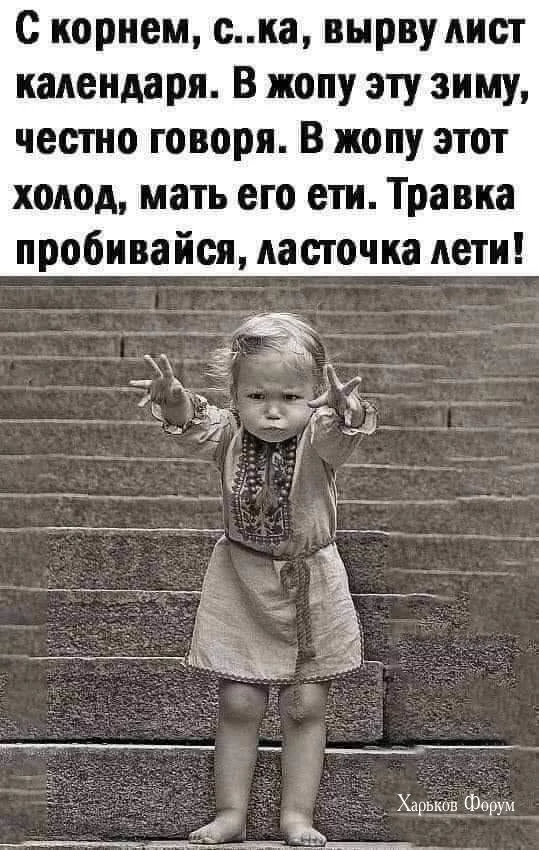 aab171f8513849a8.webp