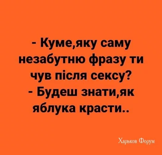 aab4eb45274e2ab6.webp
