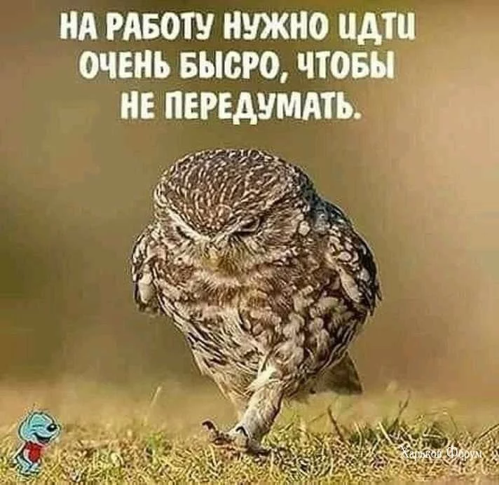 aab877ff3b1271bf.webp