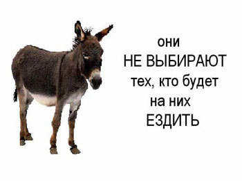 aabfj9.jpg