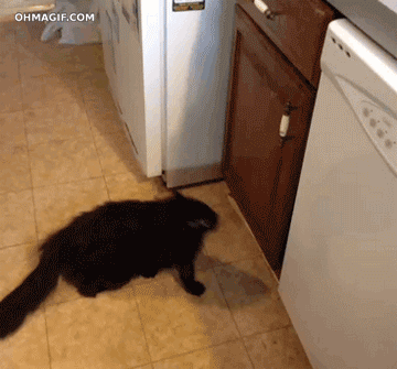 aac04460d4a7f1b0a2c30.gif