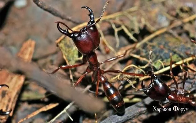 aaca50d2e135b1dd4e2.webp