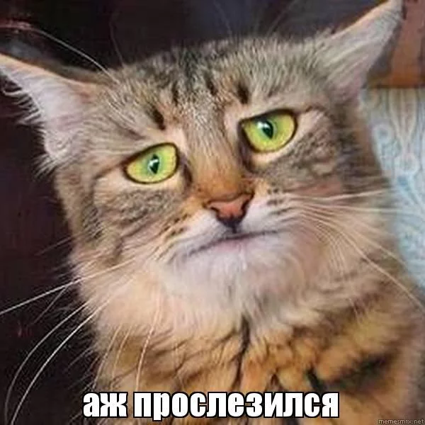 aacb1g.webp