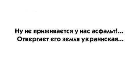aad0cg.webp