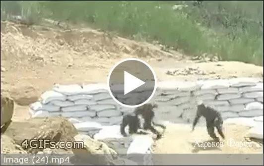 aae1f9f84039fc2094.webp