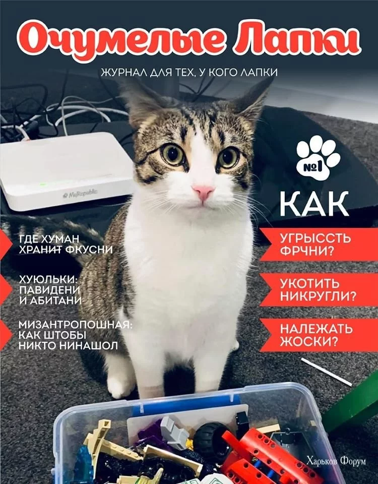 aaf4d6373c91c613916912.webp