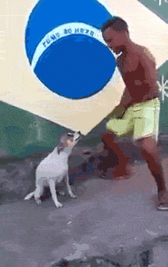 aah3ba.gif