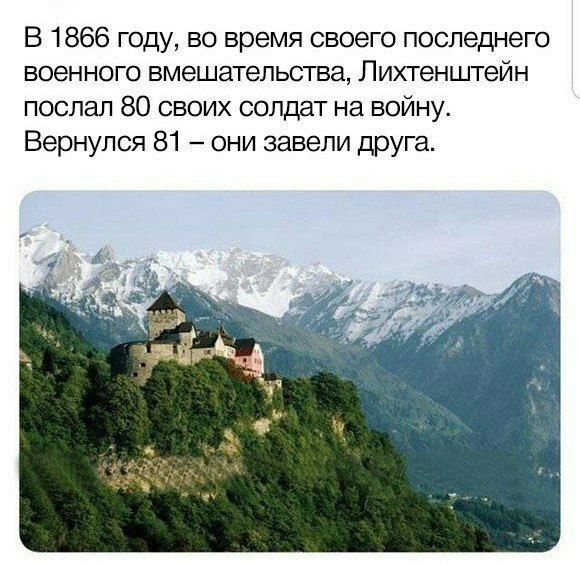 aahea7.jpg