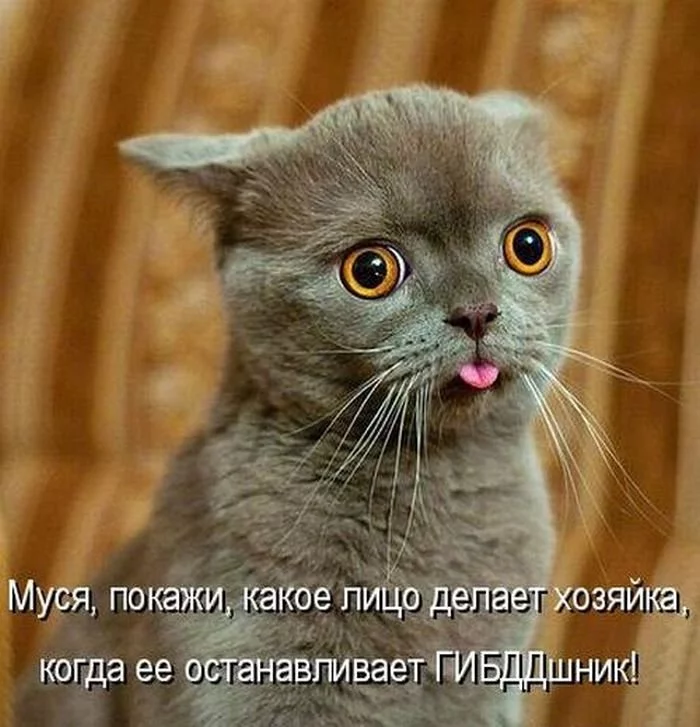 aahg1g.webp