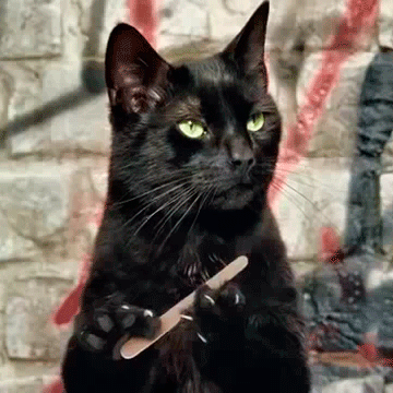 aahhg9.gif
