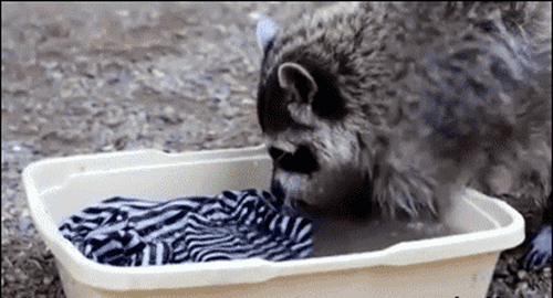 ab0e6c63c987e70ea871.gif