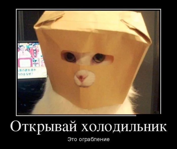 ab1gcc.webp