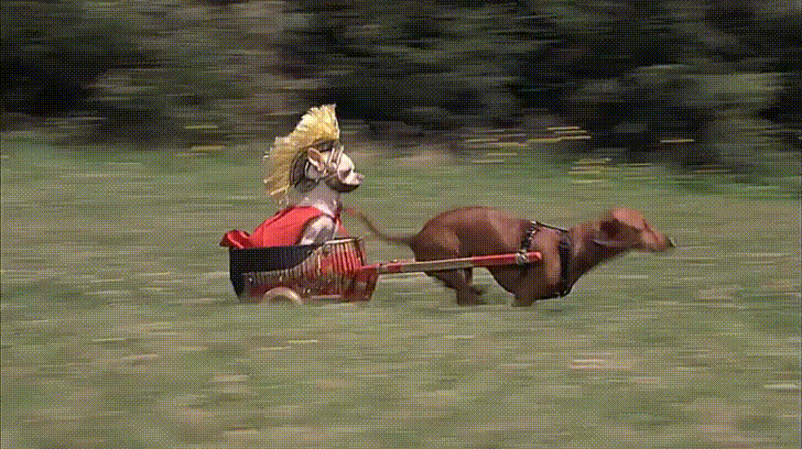 ab20c213ef3355de4bcb.gif