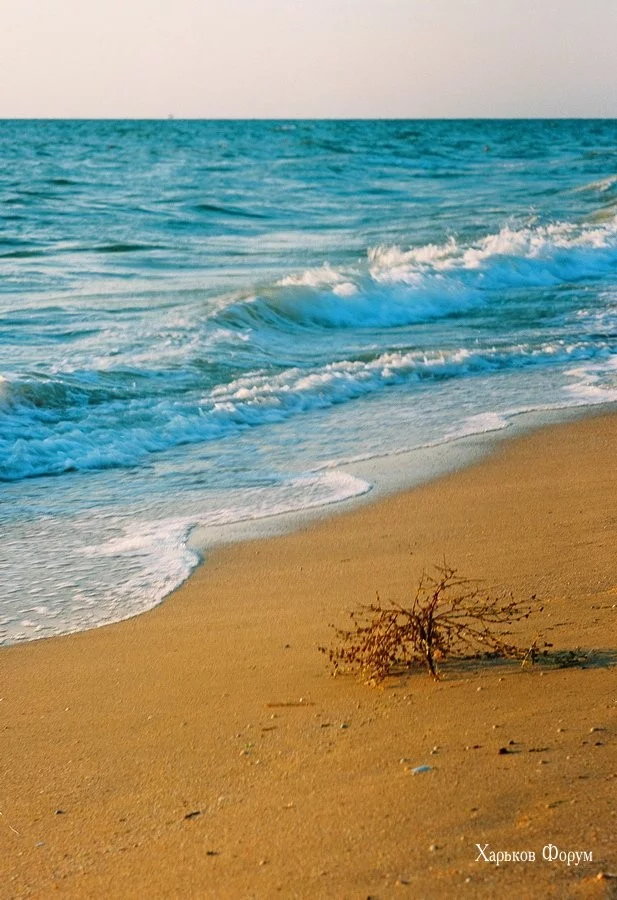 ab3100e3a463daa39f5.webp