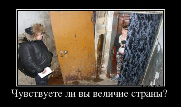 ab5ggh.webp